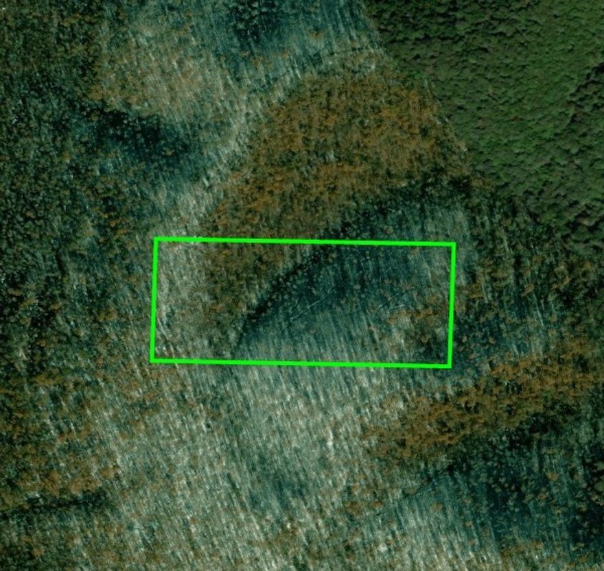 20 acres mol of hunting land. Agent Owned