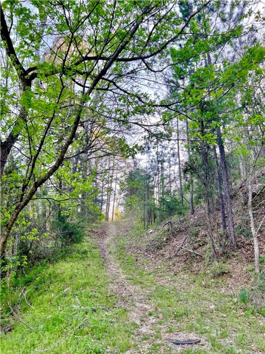 Rare opportunity to own 3 1/2 acres in Eureka Springs that is very close to downtown yet still tucked away in the woods with a peaceful and secluded feeling. There are two great building spots, one on the upper lotted portion and one on the lower parcel. Due to the generous size of this land either building spot will have plenty of privacy and you can enjoy the peace and quiet of living tucked away into the wooded hillside. If you have ever dreamed of building a treehouse retreat to call your own, this is your chance to make those dreams a reality and build your very own home in the tree tops at Breezy Point. City utilities are available on location making this a very affordable option for building your dream home in Eureka Springs. Only about a mile to the Crescent Hotel and the Downtown shopping, dining, and entertainment district. Beaver and Table Rock lakes are close by as well as both The White and The Kings river. Mountain bike access to the Lake Leatherwood trail system is just at the top of the hill.