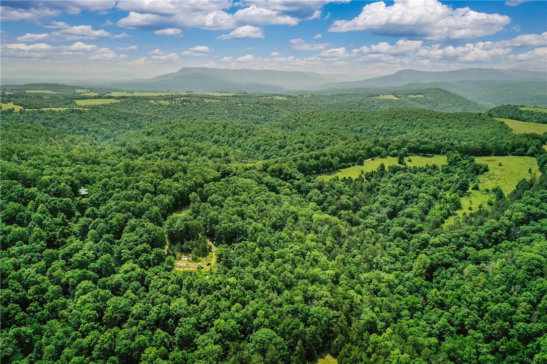 Here is an opportunity to own 12 Acres MOL of the stunning Ozark Mountains just 10 minutes from the world famous Buffalo River! Use it as a secluded and private camping spot, place a cabin, or build a home, this land is yours to do whatever you please.