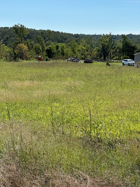 Homesite, utilities include electricity, rural water & additional RV hook-up. Rock/stone pad for possible mobile home.
