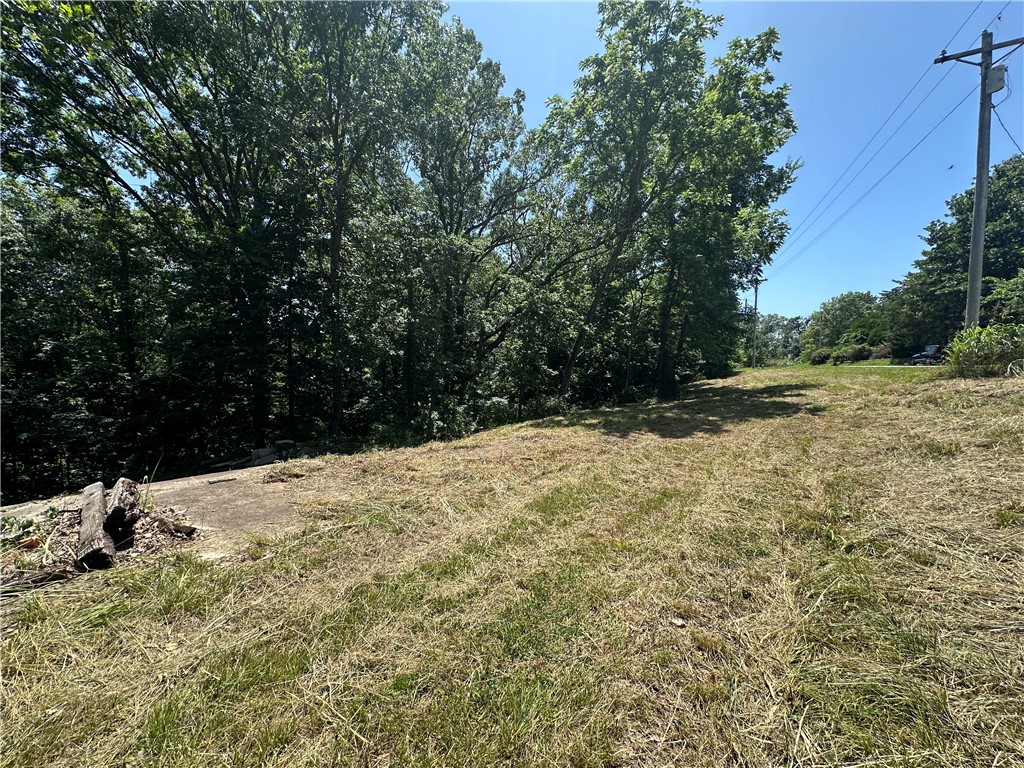 In Bella Vista but no POA dues! Beautiful large .71 of an acre lot ready for your home! Septic in place. Concrete pad in place. Community well. Ride your bike to the mountain bike trails! Close to conveniences like Bison Bike Shop, groceries, restaurants, gas stations, banking, etc. Not far from Lake Avalon and Lake Loch Lomond.