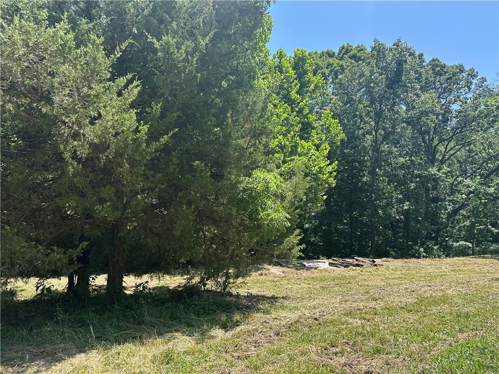 In Bella Vista but no POA dues! Beautiful large .71 of an acre lot ready for your home! Septic in place. Concrete pad in place. Community well. Ride your bike to the mountain bike trails! Close to conveniences like Bison Bike Shop, groceries, restaurants, gas stations, banking, etc. Not far from Lake Avalon and Lake Loch Lomond.