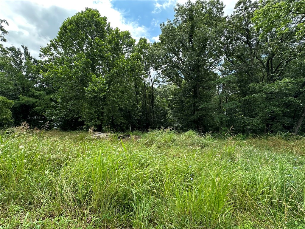 In Bella Vista but no POA dues! Beautiful large .71 of an acre lot ready for your home! Septic in place. Concrete pad in place. Community well. Ride your bike to the mountain bike trails! Close to conveniences like Bison Bike Shop, groceries, restaurants, gas stations, banking, etc. Not far from Lake Avalon and Lake Loch Lomond.