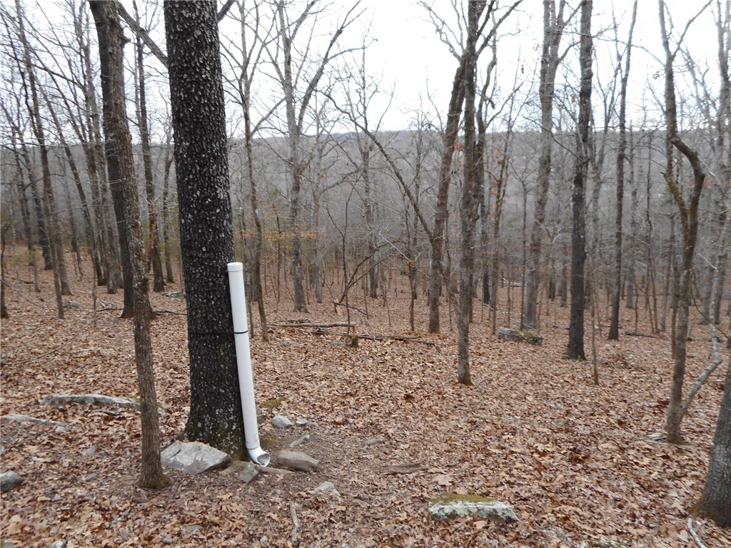 Privacy & seclusion at the top of 53 acres with a view, woods, pasture, pond all fenced, small barn & corral. Lots of huge rocks that may possibly be harvested.