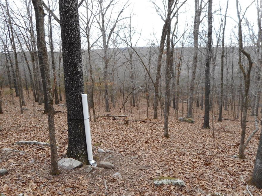 Privacy & seclusion at the top of 53 acres with a view, woods, pasture, pond all fenced, small barn & corral. Lots of huge rocks that may possibly be harvested.