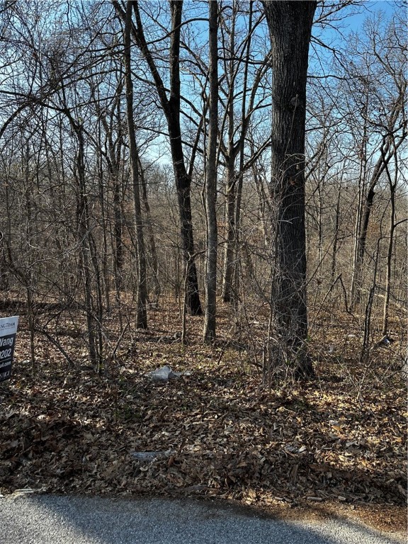 Embrace the opportunity to own a slice of Bella Vista, Arkansas with this stunning plot of land! Perfect for building your dream home, this tranquil location offers picturesque views and ample space for your vision to come to life.
As part of the Bella Vista community, you'll enjoy access to exclusive amenities including golf courses, lakes, hiking trails, and more. Don't miss your chance to create your ideal lifestyle in Bella Vista. Contact us today to seize this opportunity!