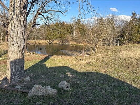 WILLIAMS RD S, EVERTON, AR 72633 - Image 04714bb1ef4cf533fe2ab676dbe424b0/565787871