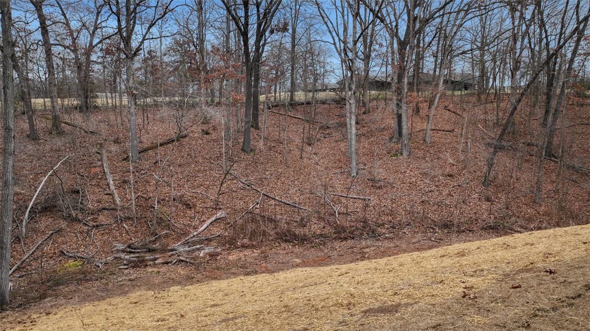 Branchwood Sub Bvv - Residential