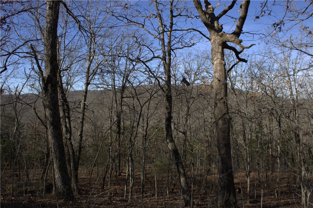 STR 13-14-32, 24-14-32 - Land