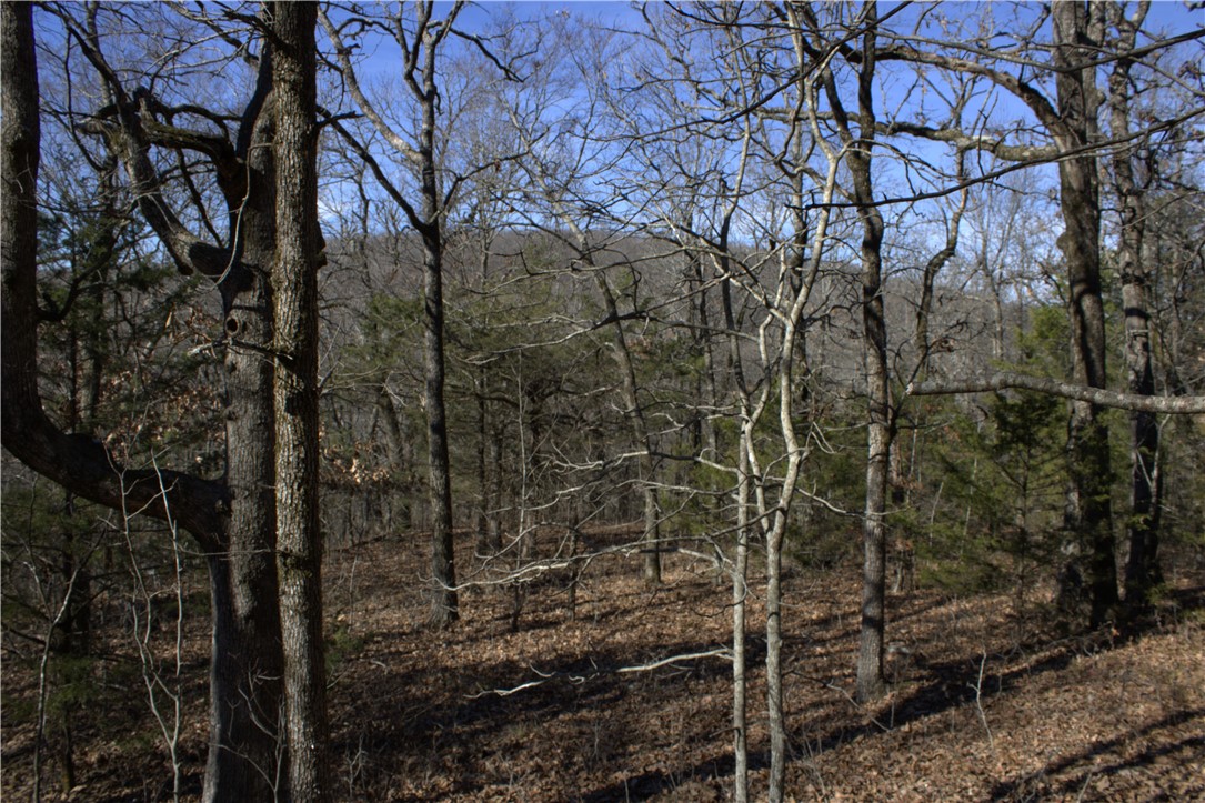 STR 13-14-32, 24-14-32 - Land