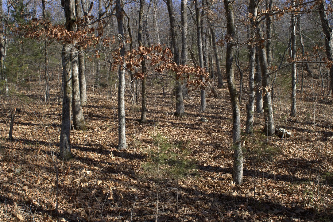 STR 13-14-32, 24-14-32 - Land