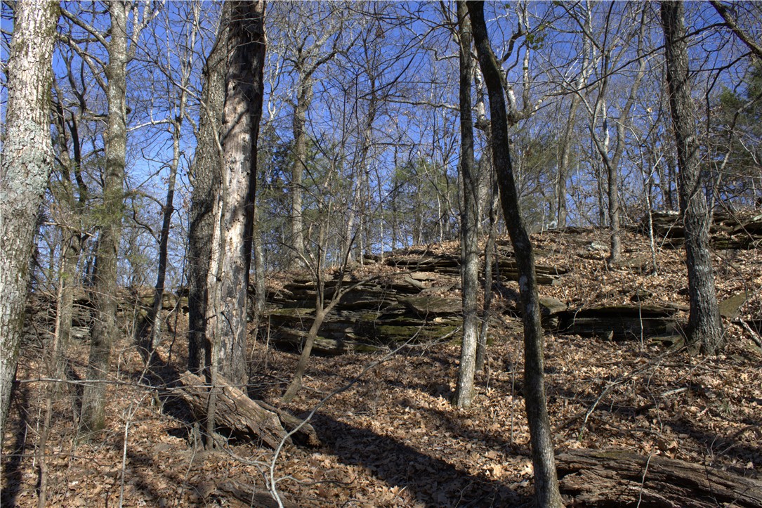 STR 13-14-32, 24-14-32 - Land