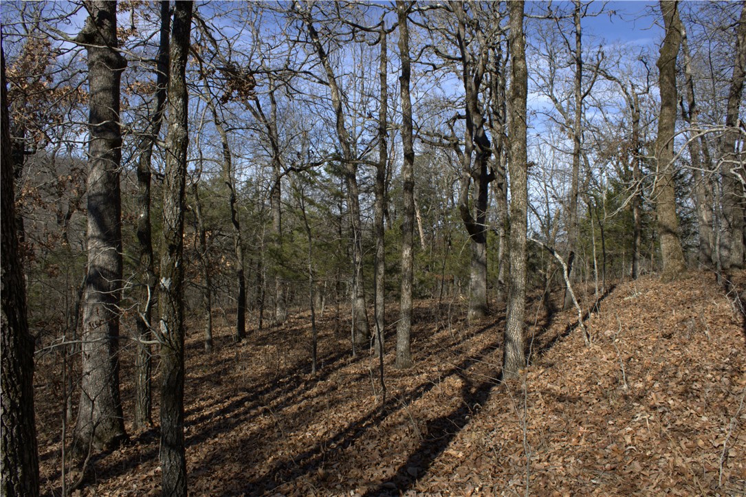 STR 13-14-32, 24-14-32 - Land