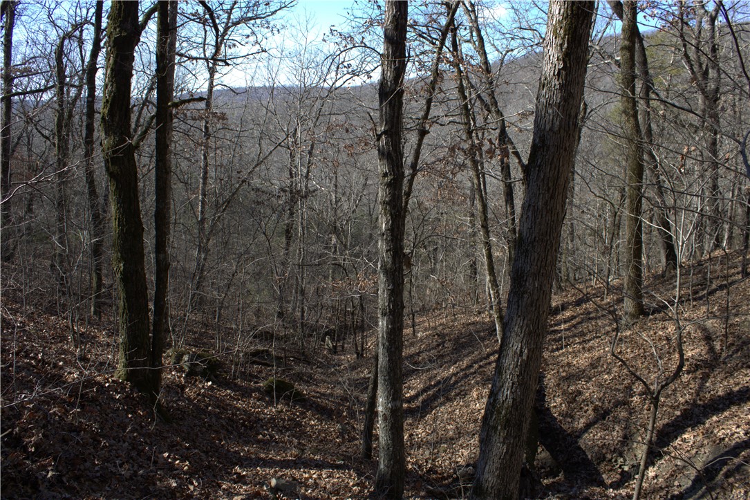 STR 13-14-32, 24-14-32 - Land