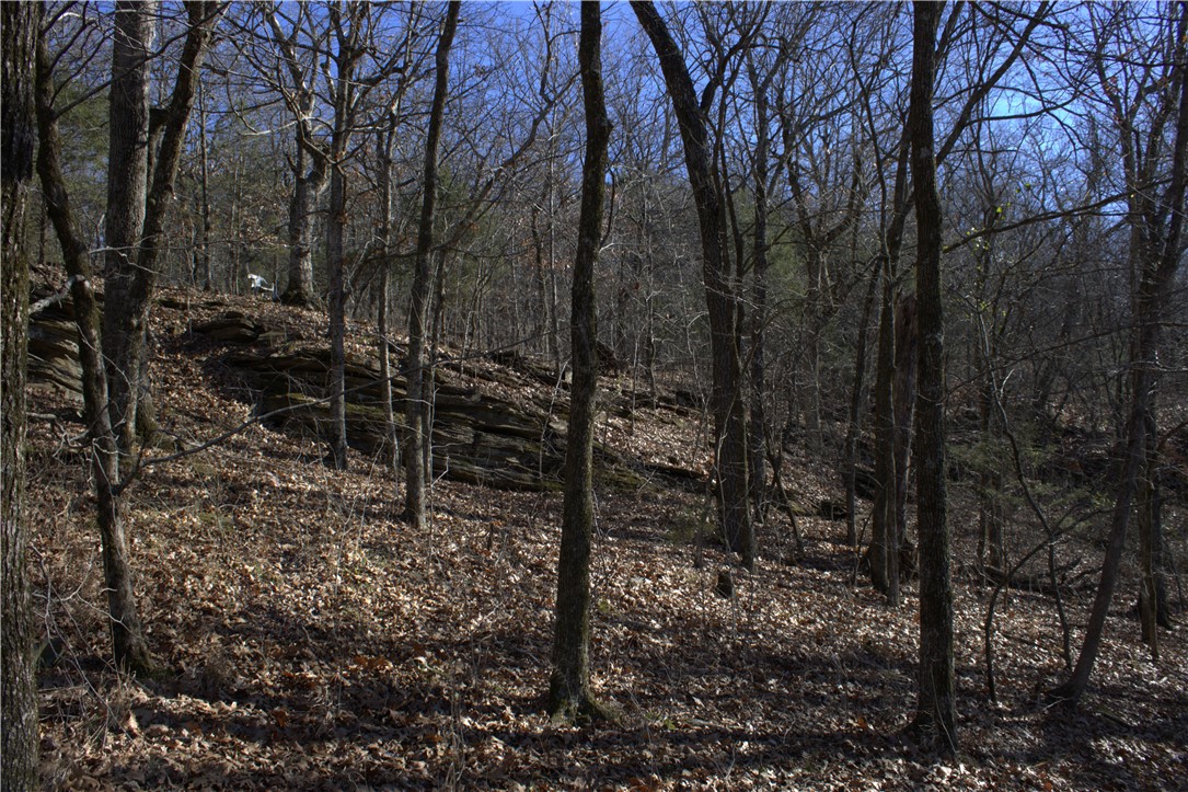 STR 13-14-32, 24-14-32 - Land