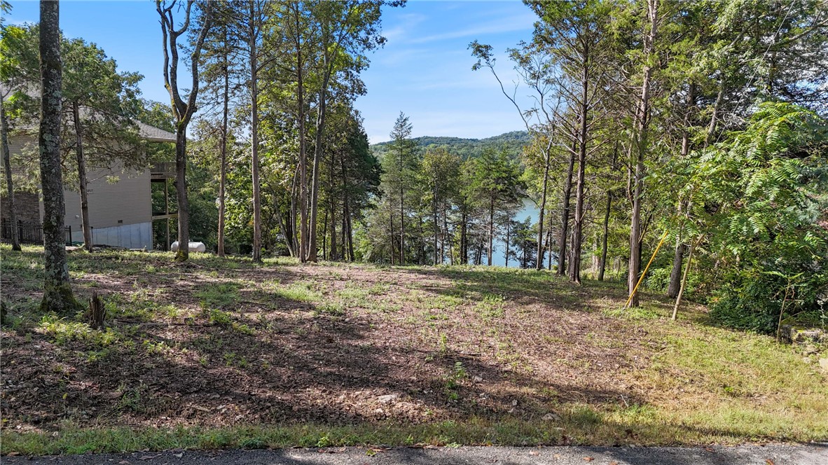 Unit 118 Holiday Island - Land