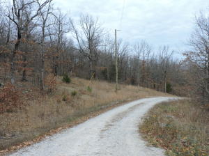 Beautifully wooded 9.56 acre lot located close to Harrison. Pretty building sites with gorgeous views of the surrounding Ozark Mountains. Utilities available. Build your dream home on this one. Private setting. End of the road yet good access.