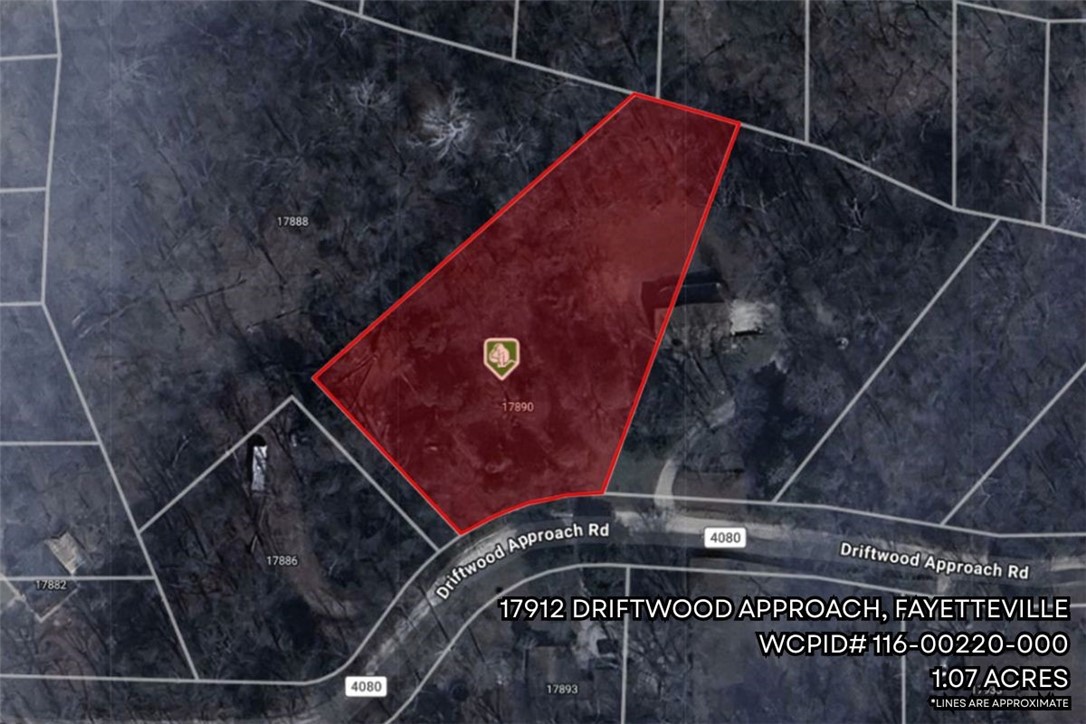 Beavorama Park Second - Land