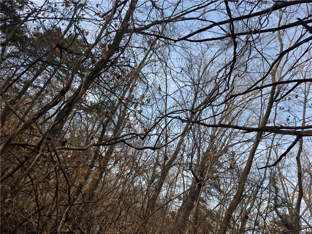 Beavorama Park Second - Land