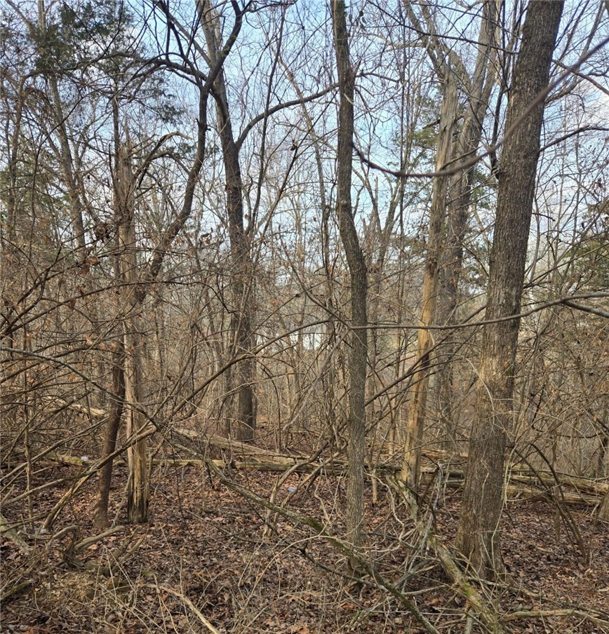 Beavorama Park Second - Land