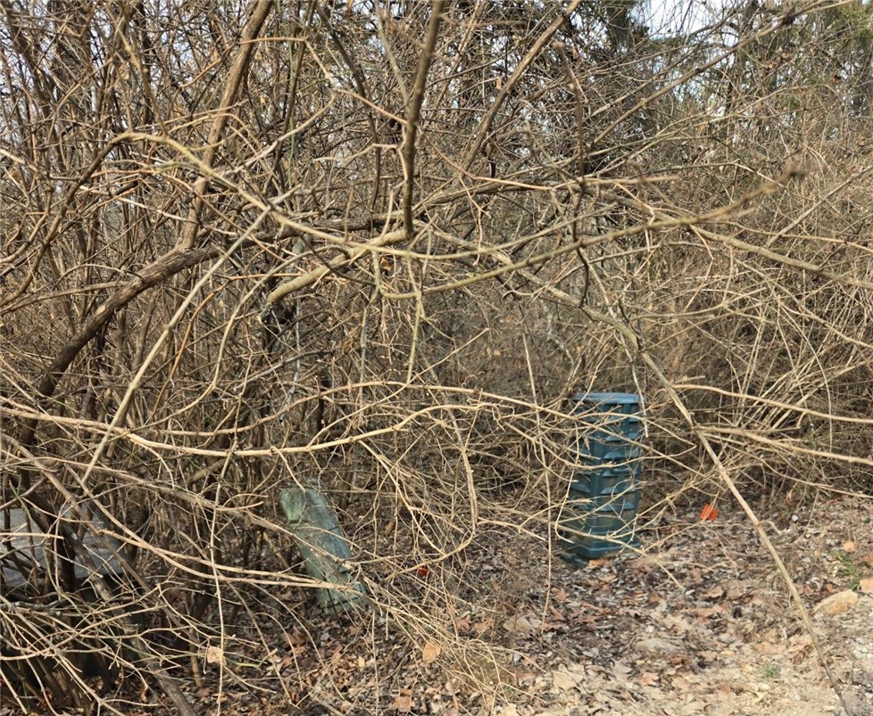 Beavorama Park Second - Land