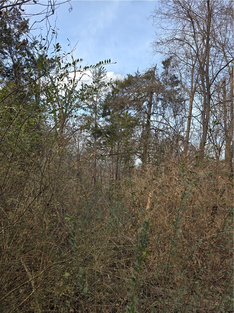 Beavorama Park Second - Land