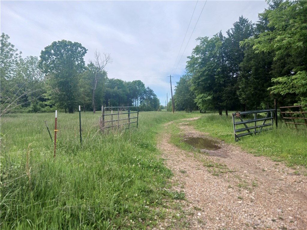 4.9 acres of open land with some hardwoods with a small pond. old mobile home was removed. septic still on site.