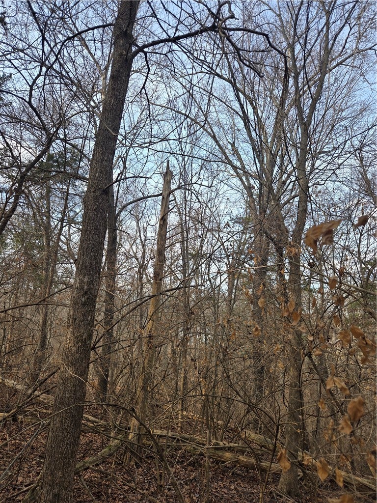 17912 Driftwood Approach