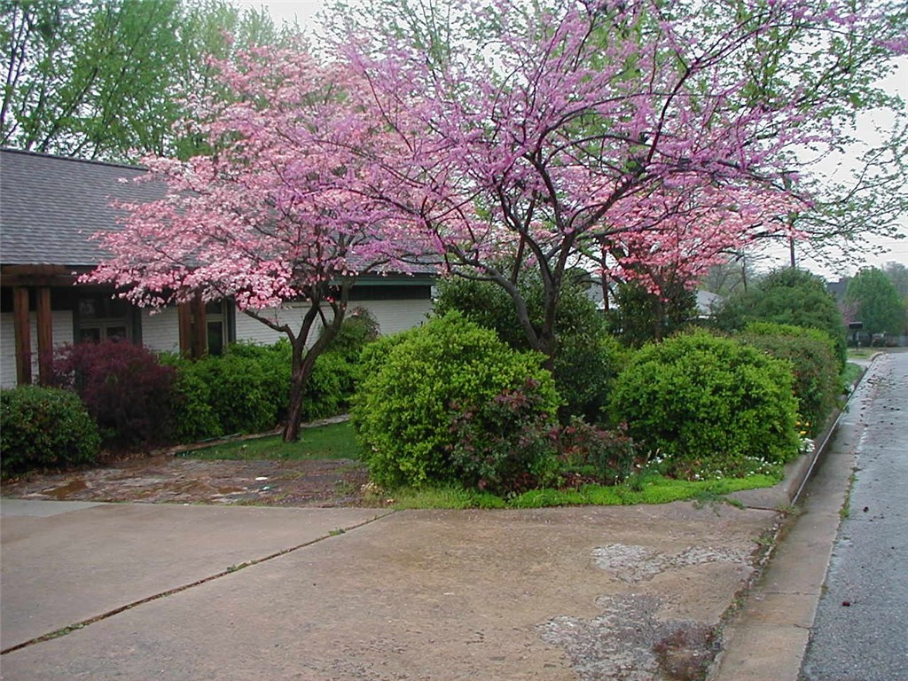 Winwood Estates Ph 2 - Residential