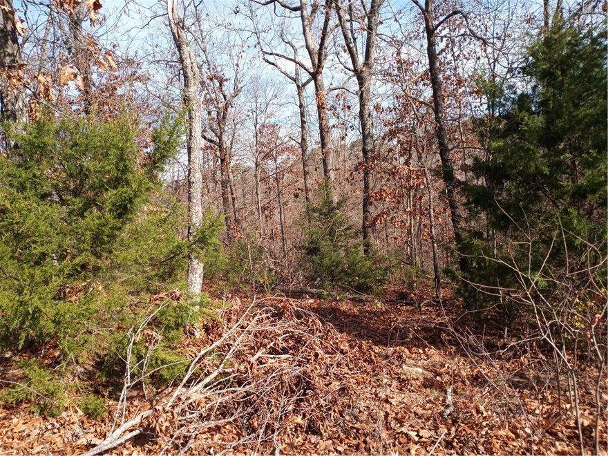 Nice location to build new construction home.  Public water available , located on a paved road!  this lot will need a septic system.  Great Location.  A few new construction homes and older homes on the paved road lane.  No "Seller Property Disclosure statement.  All parties will need to do "Due diligence "