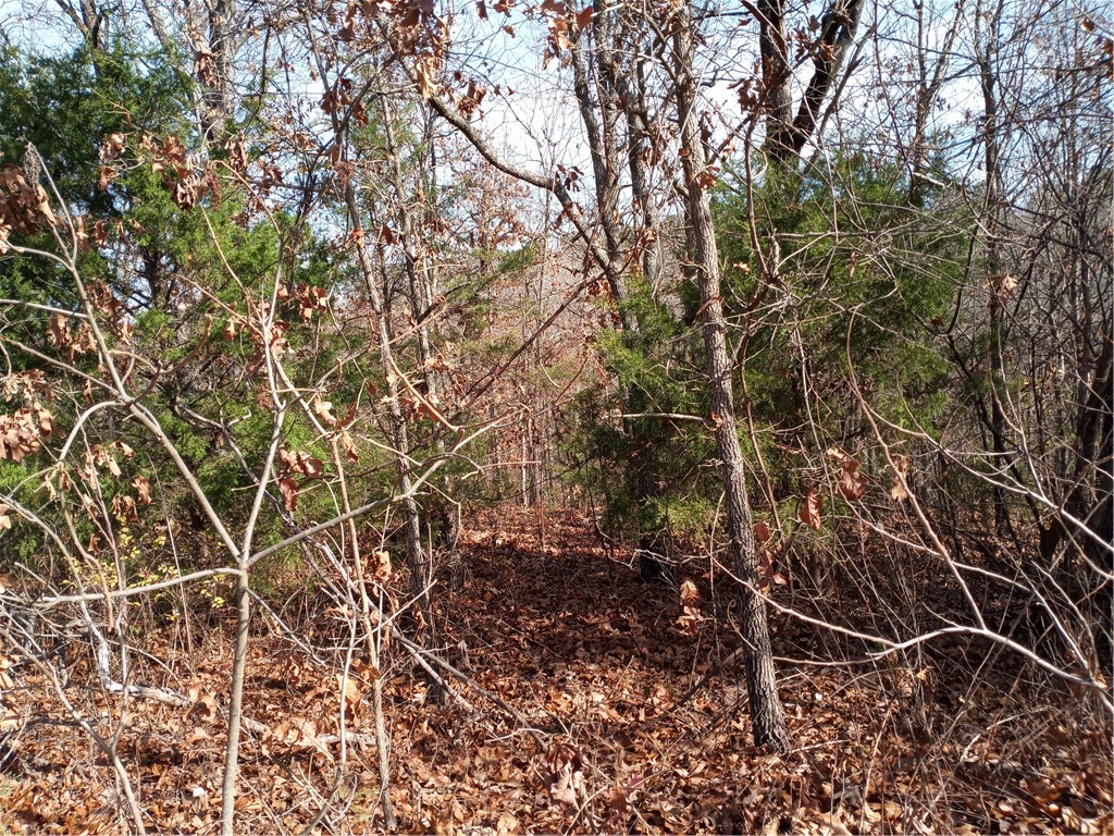 Halladale Sub Bvv - Land