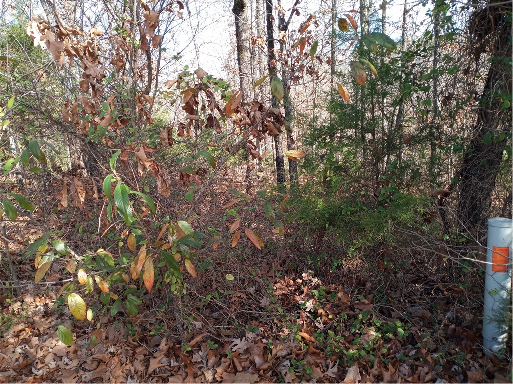 Halladale Sub Bvv - Land