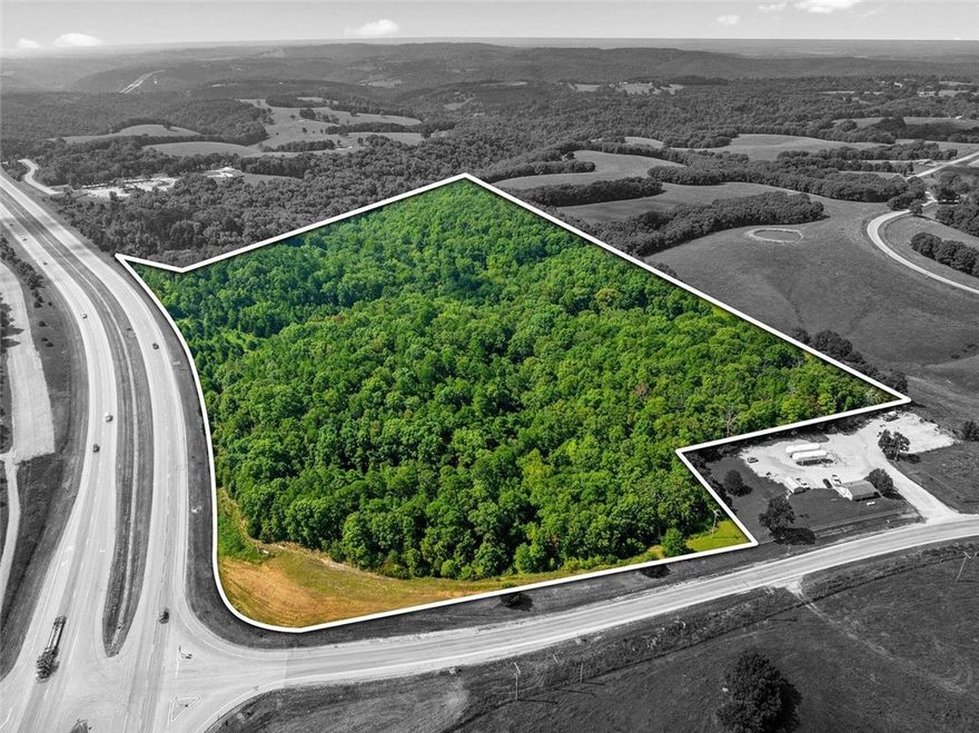 49.34 Acres with Highway Frontage – Endless Development Potential on US Hwy 65! Excellent opportunity to own 49.34 unrestricted acres with extensive frontage on US Highway 65. This versatile property offers multiple development possibilities including commercial use along the highway, billboard locations, and residential development set back from the road for added privacy. Conveniently located just minutes from Cricket Creek Marina, 10 minutes to Big Cedar Lodge and Top of the Rock, 20 minutes to Branson, and 25 minutes to Harrison, this property sits in a prime corridor with strong traffic exposure and easy access to major attractions. With no restrictions, this tract provides flexibility for investors, developers, or private owners seeking space, visibility, and convenience. Bring your vision—this property offers unlimited potential in one of the region’s most desirable areas.