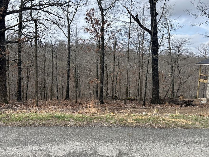 Beautiful Bella Vista lot just minutes away from The Back 40 and the trailhead, connecting you with all Northwest has to offer.  Convenient to major roads and Town Center is nearby.  It is located in the highly desirable Bentonville School District.  Build your dream  home or NWA getaway.