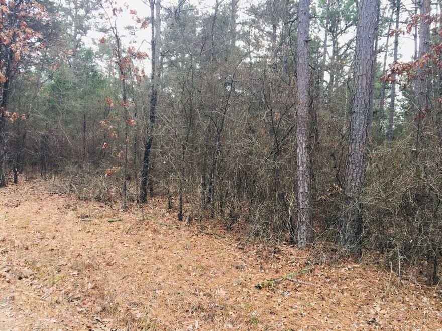 Your new home will be just a short drive to beautiful Piney Bay, Russellville, or Clarksville! Owner financing offered on this beautiful lot in the coveted Eagles Nest Subdivision. See it today! Public water available. Fiber optic internet available. Huge acre-and-a-half,  street-to-street lot. Has frontage on both CR 1788 and 1786..