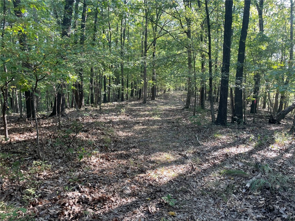 Southern Hills #Iv - Land
