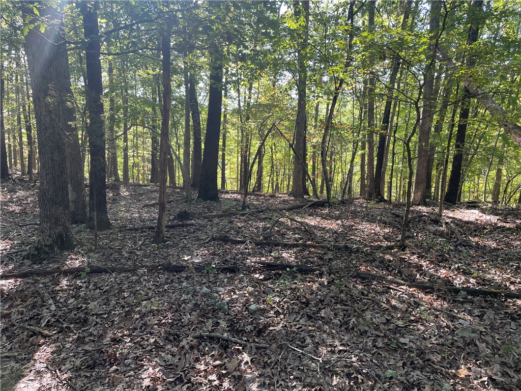 Southern Hills #Iv - Land