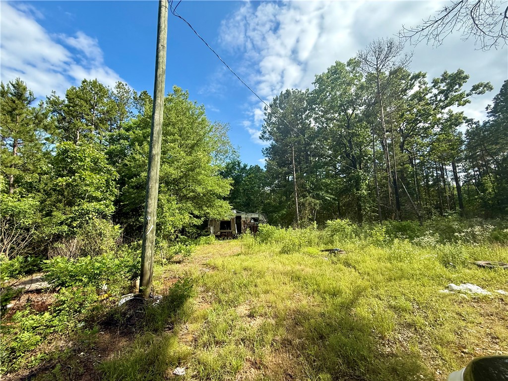 10 Acres Joining Ouachita National Forest – Private & Secluded. Discover the perfect escape with this beautiful 10-acre wooded tract, ideally located at the end of a quiet dead-end road. This rare find borders the Ouachita National Forest, providing direct access to thousands of acres of public land for hunting, hiking, and outdoor adventure. All wooded and full of mature timber, this property offers peaceful seclusion and a true connection to nature. Whether you're dreaming of a weekend retreat, a private hunting camp, or an off-grid homestead, this land has the potential to be your perfect getaway.
A rare opportunity to own land next to the National Forest—don’t miss it!