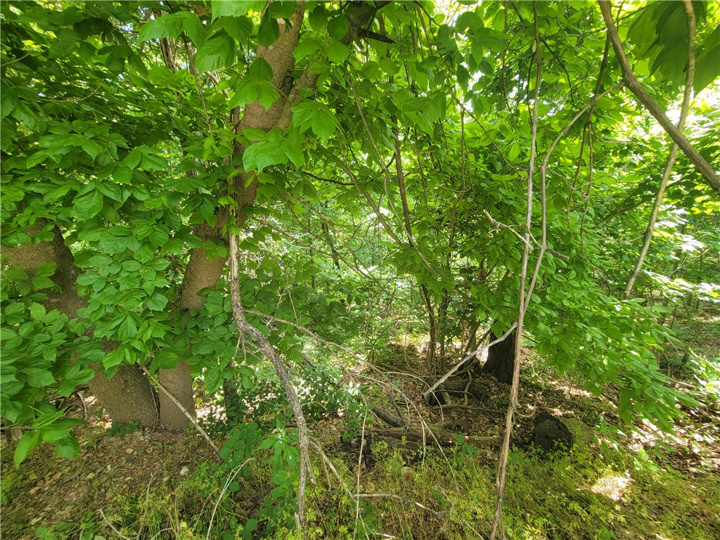 Padbury - Land