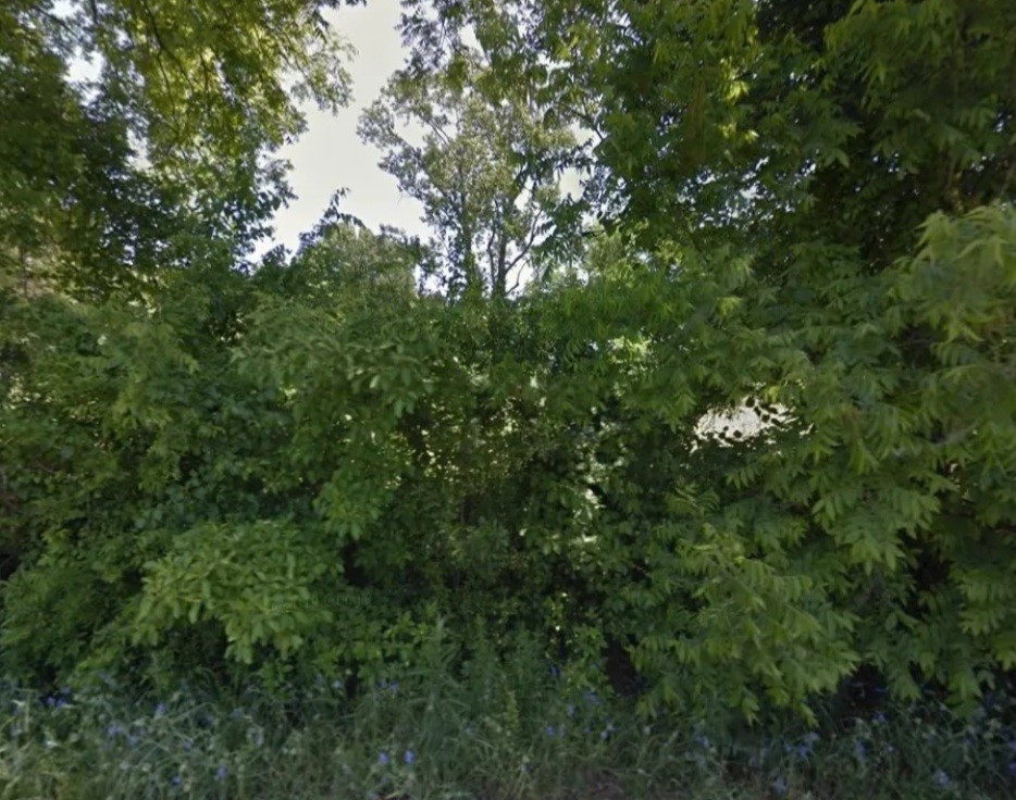 Blount & Moss School Addition - Land