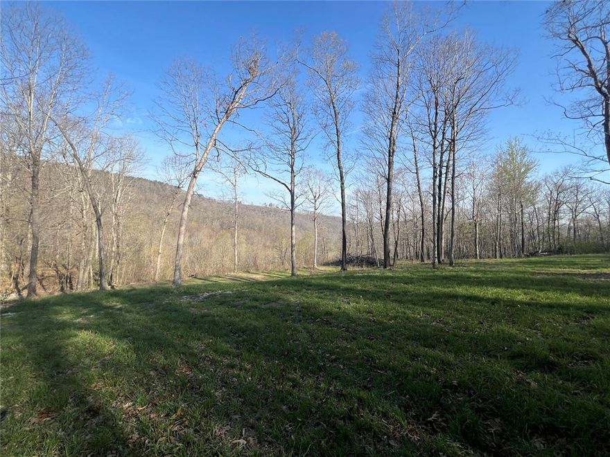 This 4.79-acre tract offers a rare combination of privacy, scenery, a spring, and convenience in the heart of the Ozarks. Tucked away on a quiet dead-end road, the property provides a peaceful setting with spectacular Ozark mountain views, while still being just a short drive from pavement and the amenities of Jasper.

The land is ideally suited for a home or retreat, with a gently rolling landscape that takes full advantage of the surrounding mountain views. Located near established hiking trails and the Buffalo National River, this property puts some of the area’s most sought-after outdoor recreation right at your fingertips.

Underground utilities are available, preserving the natural beauty of the setting and simplifying the building process. Whether you’re looking to build a full-time residence or a weekend getaway, this tract offers a strong balance of seclusion, accessibility, and scenic appeal.