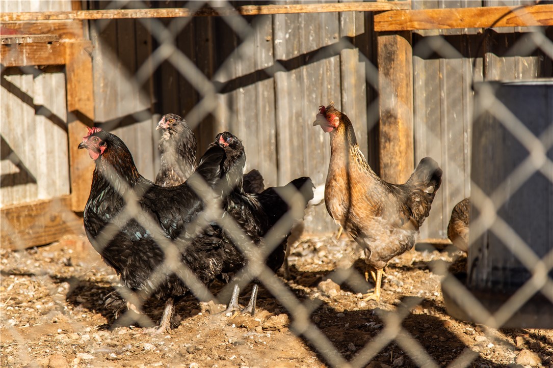 20-18-33-RURAL - Residential