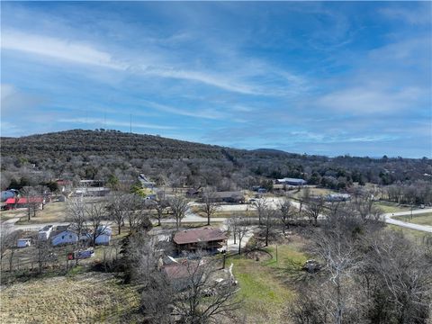 Single Family Residence in Berryville AR 1502 Springfield Street 3.jpg