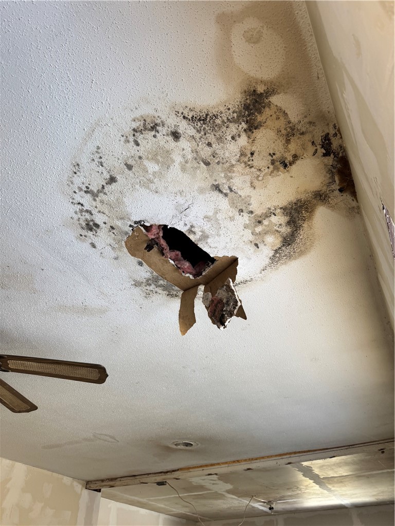 WOODLAND HEIGHTS III - Residential