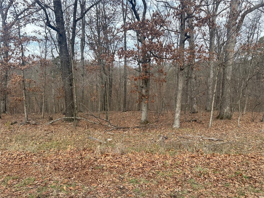 Highly desirable sewer lot close to all that Bella Vista has to offer! Perfect for building your dream home with easy access to biking, hiking, golf & lakes. Donāt miss this prime location!