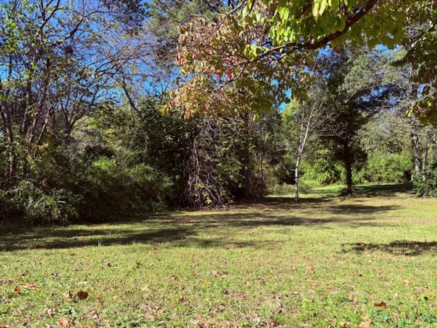 Nice lot in established neighborhood, in a great location not far from the new Creekside Community Center!
Large lot, approx .38 of an acre, perfect spot to build a home without worrying about HOA covenants.