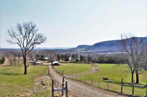Beautiful barn/cabin style home with a fantastic view! Four bedrooms and two full baths. One bedroom on the main floor. With 20 acres, 12 pasture and 8 woods plus a hunting cabin, barn, an excellent garden spot, this is a great hobby farm! The home is partially underground so it's easier to heat and cool. There are fruit bearing pear and peach trees along with pecan, hickory and many other large trees. There's a large utility/workshop great for crafting or woodworking. Additional home site that already has water, electric and septic. Close to the Buffalo National River and Ozark National Forest. Hunt in the fall and float in the summer!