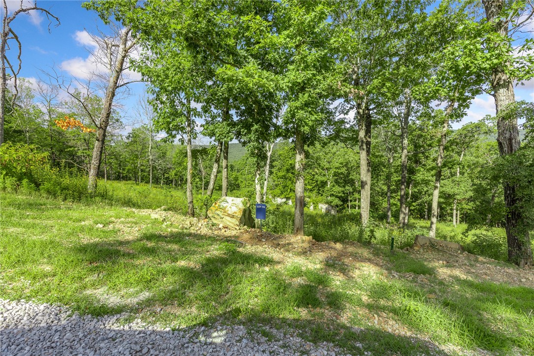 Round Mountain Estates - Land