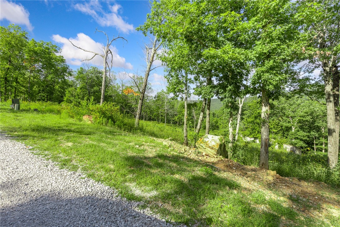 Round Mountain Estates - Land