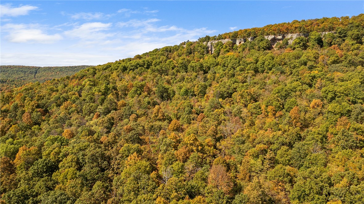 Round Mountain Estates - Land